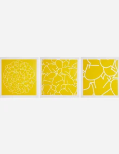 Men Maharishi Ye-90, 91 & 92 Triptych